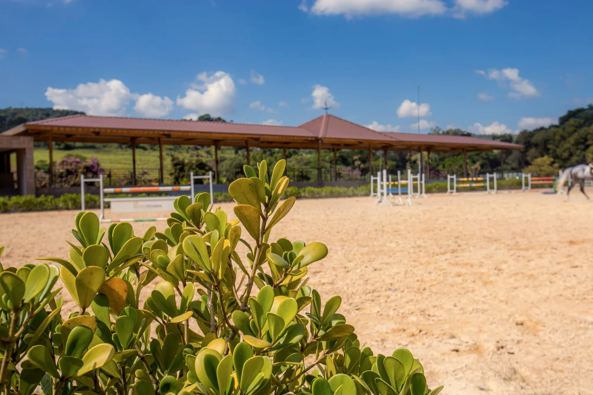 A pista descoberta com obstáculos de salto, o telhado da pista coberta ao fundo e a mata subindo o morro