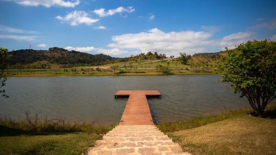 Galeria Haras La Estancia — foto 17